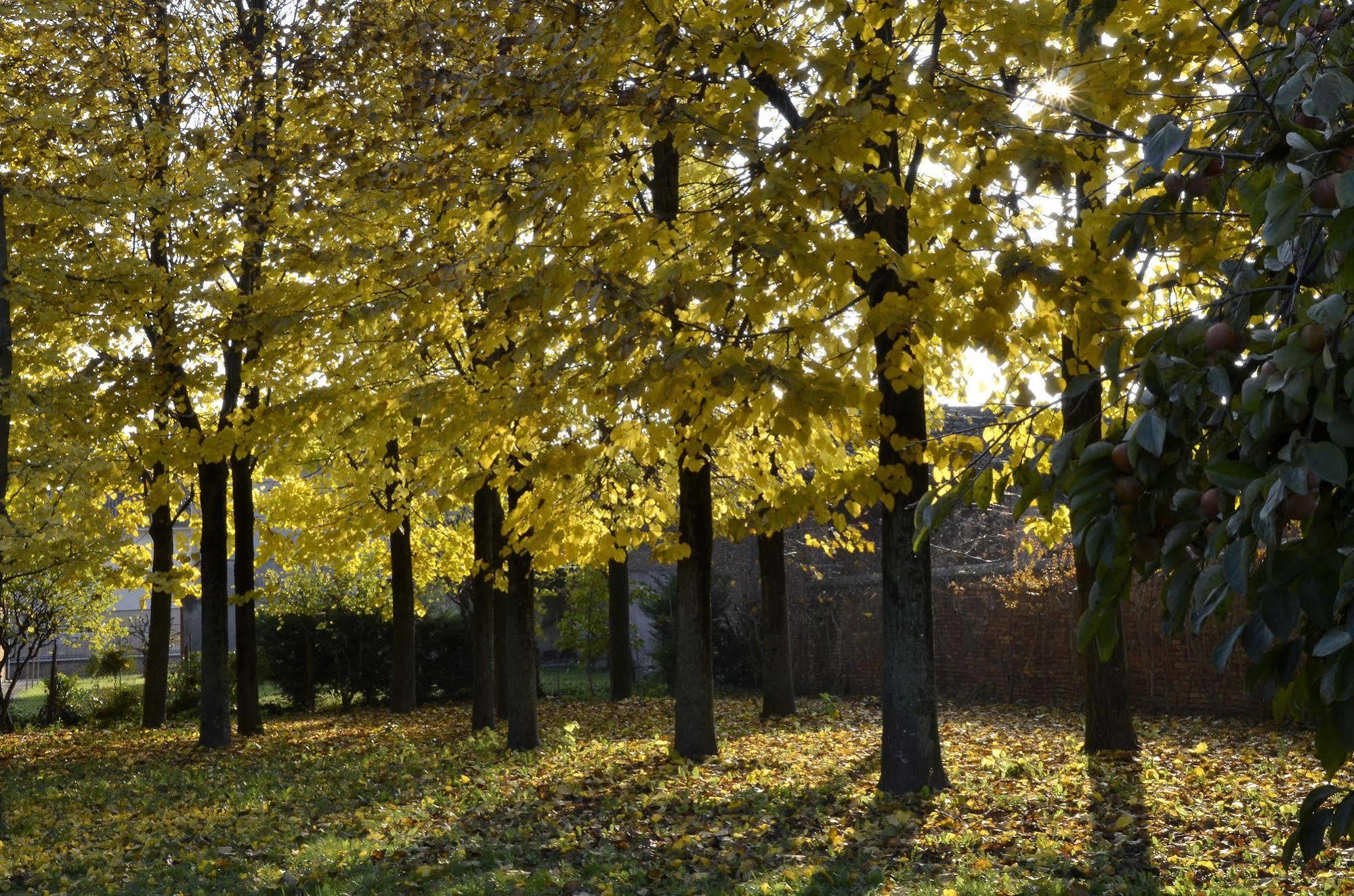 9 Muse Bed And Breakfast Canneto sull'Oglio Eksteriør bilde